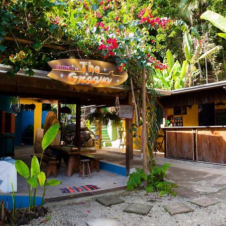 Sintonia Surf Hostel E Bar Ubatuba Dış mekan fotoğraf