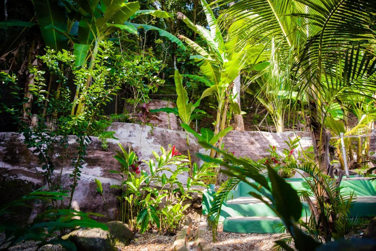 Sintonia Surf Hostel E Bar Ubatuba Dış mekan fotoğraf