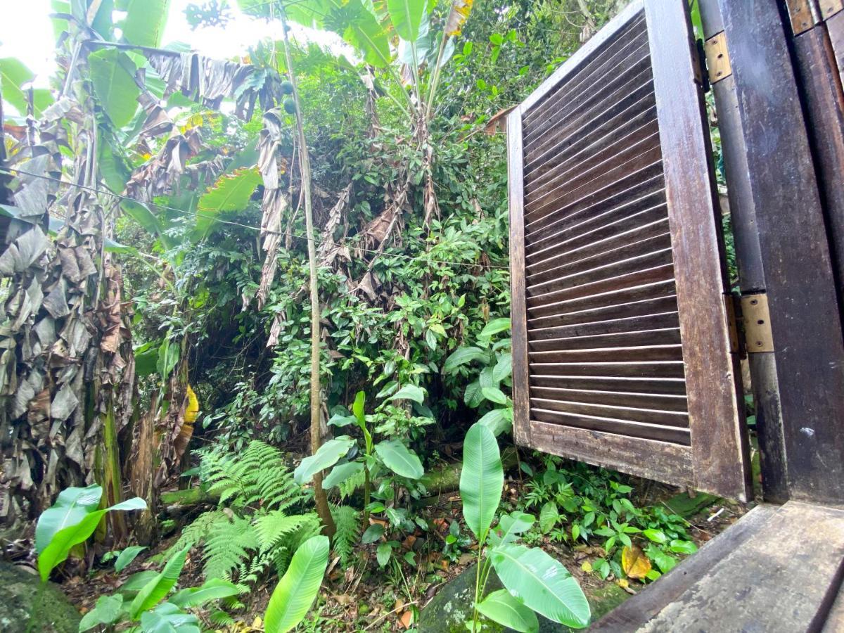 Sintonia Surf Hostel E Bar Ubatuba Dış mekan fotoğraf